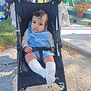 Alisha joined the competition — help win amazing prizes! baby, child, stroller, sitting, portrait, outdoor, sunlight, blue_clothing, bib, socks, infant, face, eyes, hair, park, flowers, plants, sidewalk, grass, harness