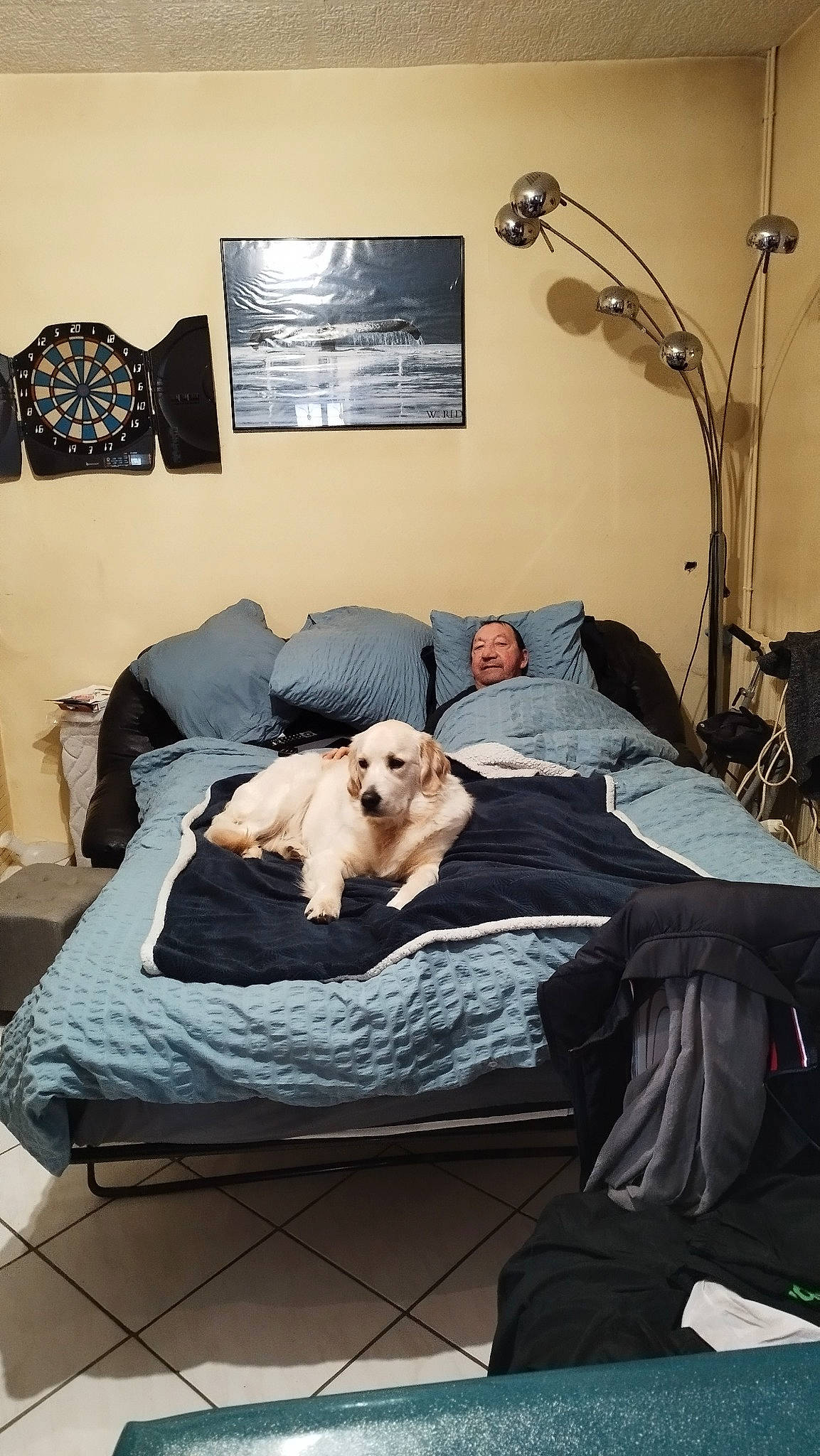 Iline participe au concours pour gagner de l'argent avec cette photo : art, bed, bed_frame, bed_sheet, bedding, bedroom, carnivore, comfort, companion_dog, dog, fawn, floor, flooring, fur, grey, hardwood, linens, room, sporting_group, wood