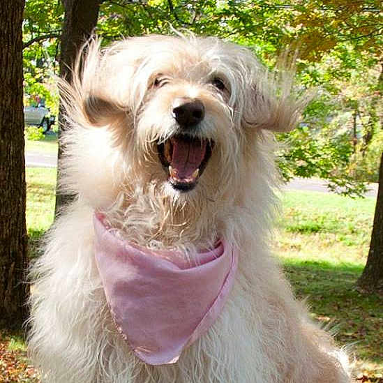 Hannah joined the competition — help win amazing prizes!