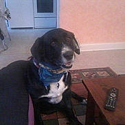 Auguste participe au concours pour gagner de l'argent avec cette photo :