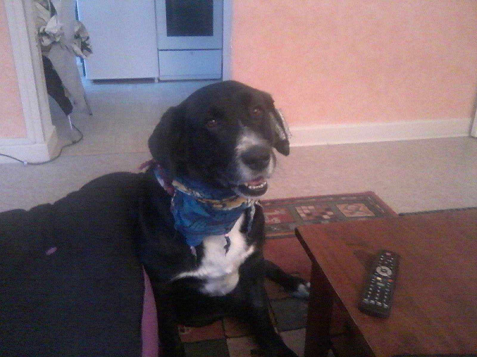 Auguste participe au concours pour gagner de l'argent avec cette photo :