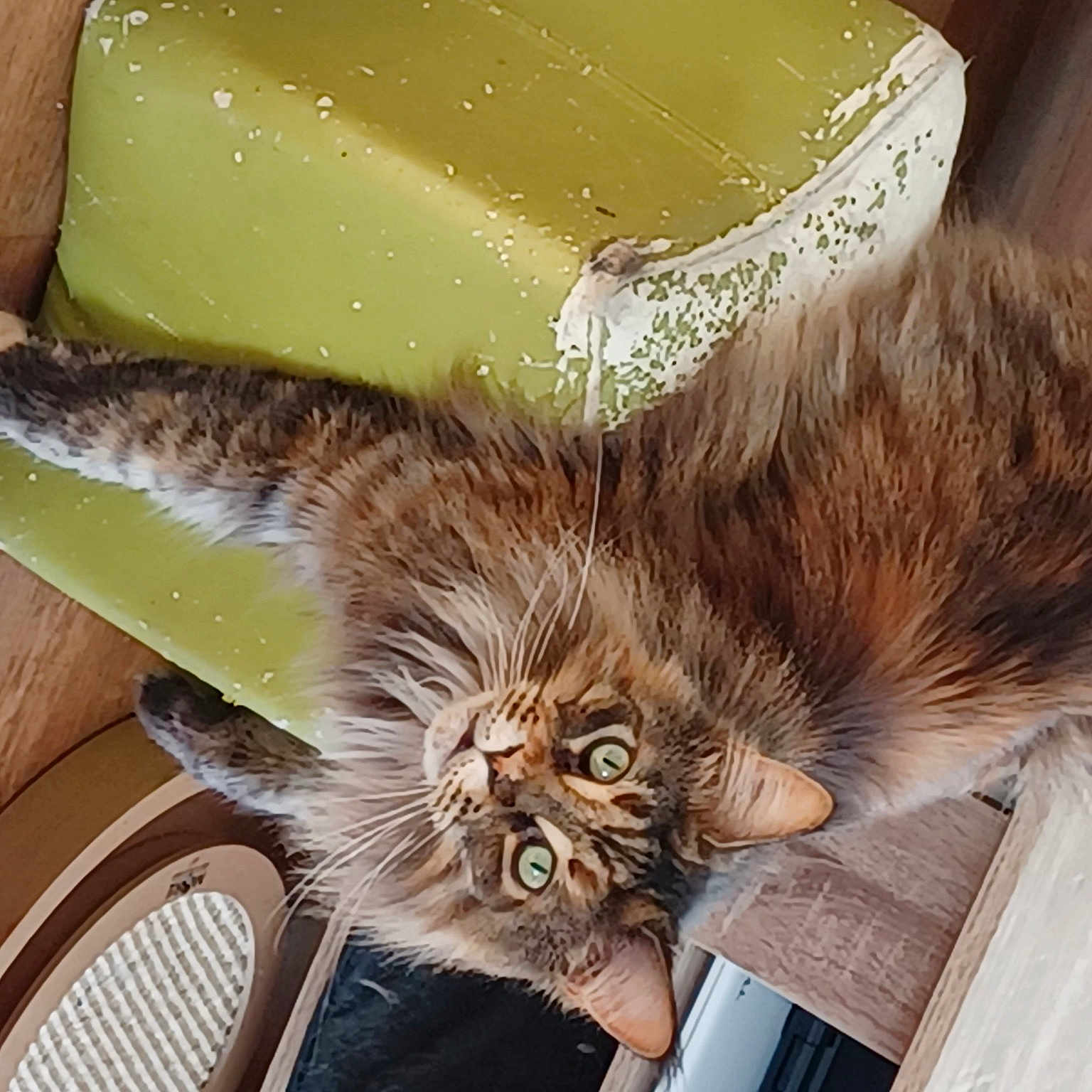 Pancake