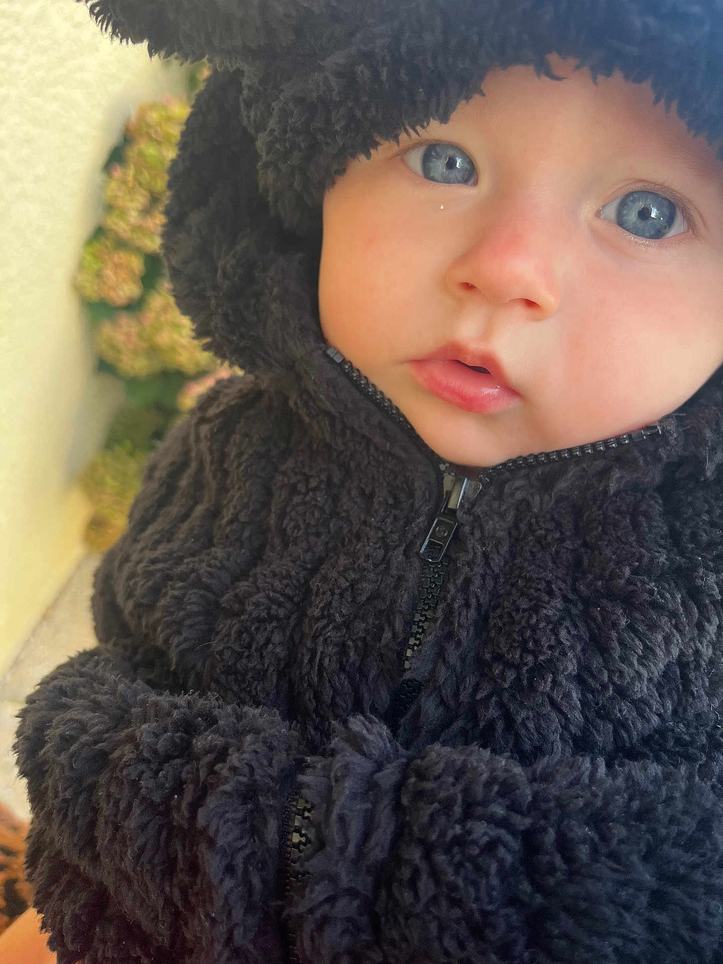 Tara participe au concours pour gagner de l'argent avec cette photo : baby, child, blue_eyes, close_up, face, fleece, fur_hood, hooded_jacket, jacket, outdoor, portrait, soft_lighting, winter_clothing, young_child, cute, curious, warm, natural_light, blurred_background, person