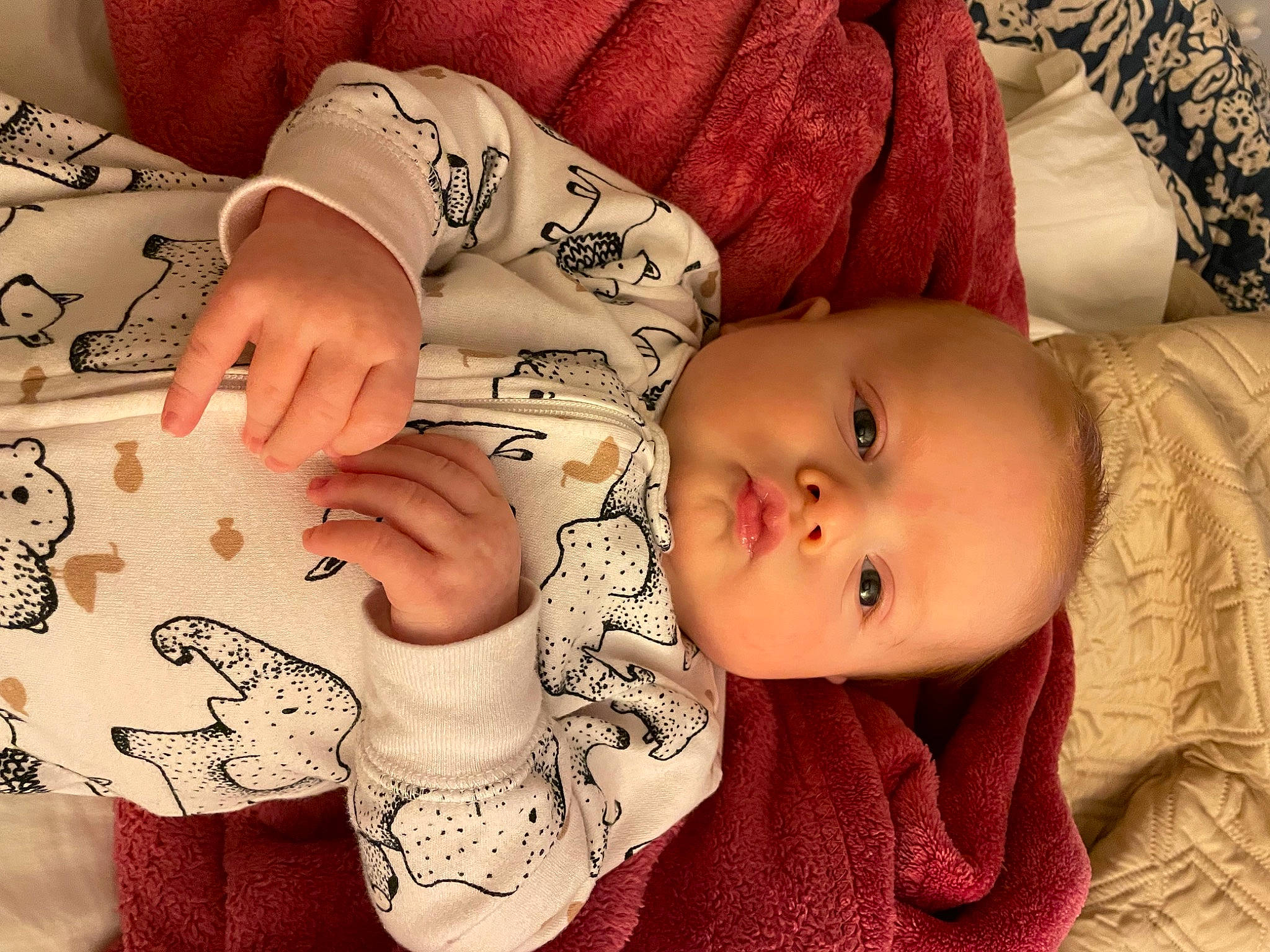 Hayden is registered to the contest to win money with this photo: arm, baby, baby_toddler_clothing, cheek, eye, eyelash, face, facial_expression, finger, hand, head, human, human_body, lip, mammal, mouth, nose, person, skin, sleeve