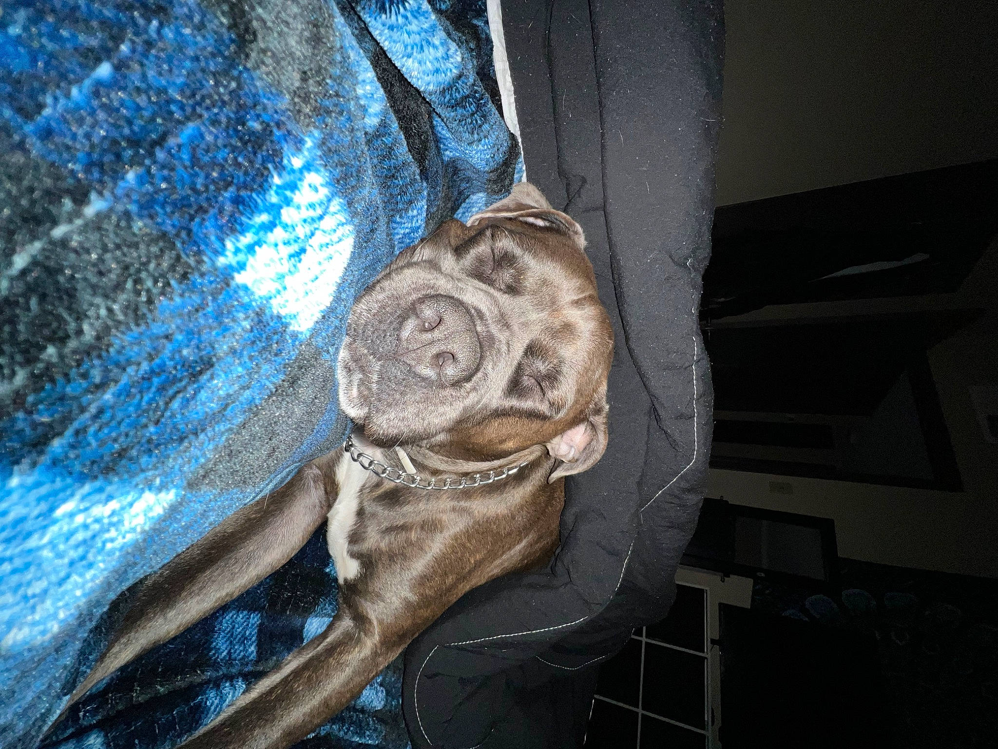 Roscue is registered to the contest to win money with this photo: art, auto_part, automotive_design, automotive_exterior, automotive_tire, automotive_wheel_system, bone, electric_blue, gas, hood, human_leg, metal, visual_arts, wood, wrinkle