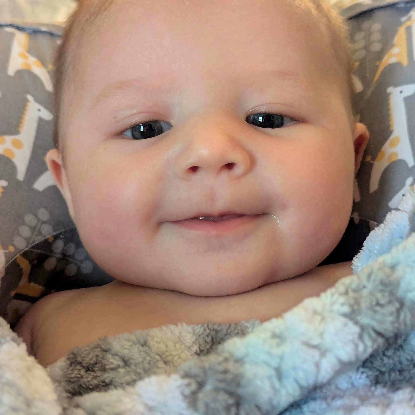 Marleigh joined the competition — help win amazing prizes! baby, blanket, bodypart, cushion, face, happy, head, homedecor, laughing, linen, mouth, newborn, person, photography, portrait, quilt, selfie, smile, teeth, towel