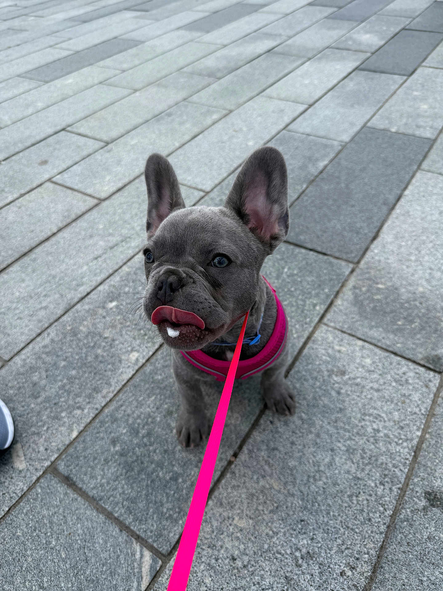 Luna