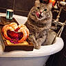 cat, bathtub, shrimp, food, dessert, candles, clawfoot_tub, gray_cat, licking_lips, bathroom, wooden_tray, cozy, indoor, vintage, luxury, relaxation, pet, cute, curious, gourmet