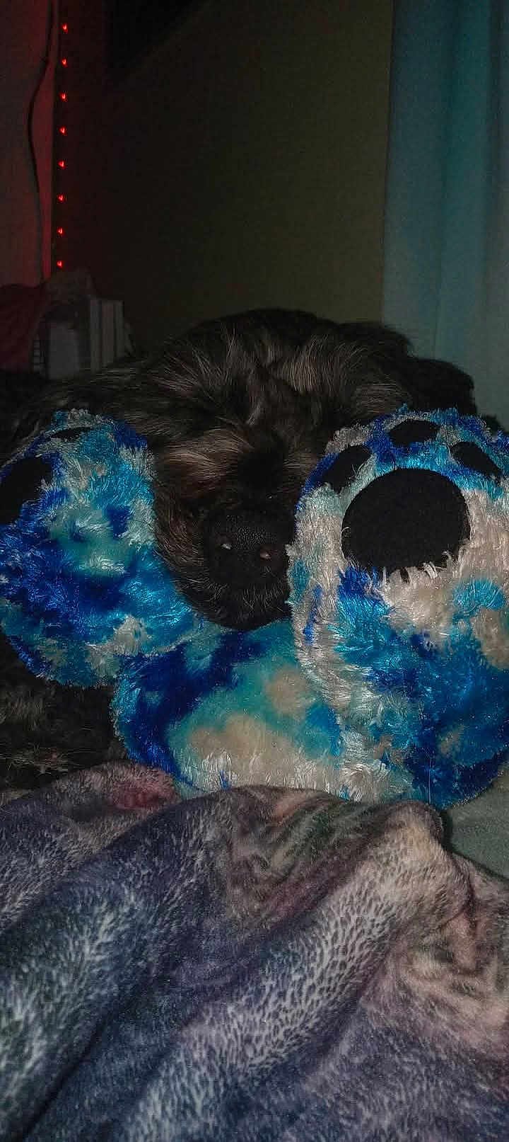 Max
