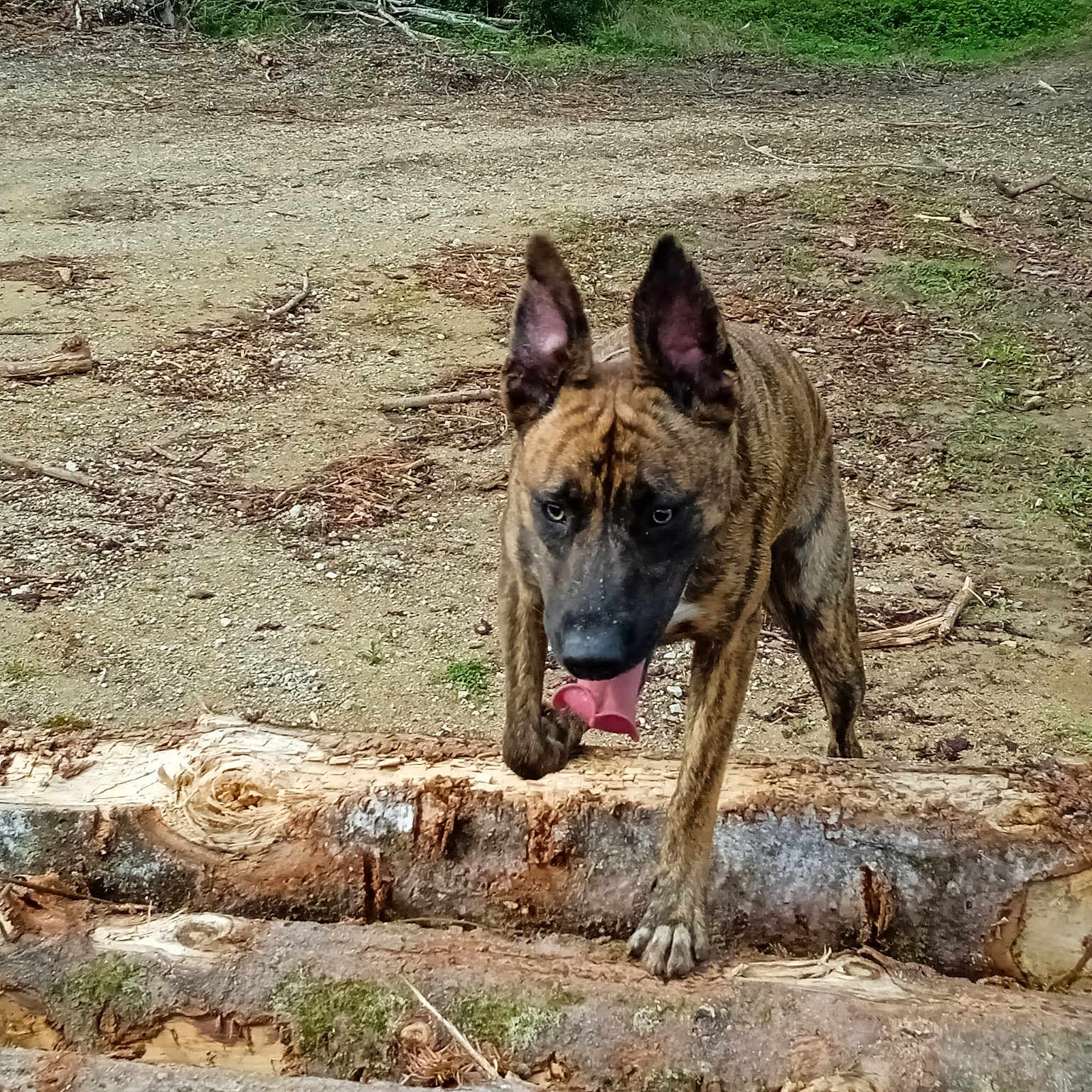 Karma