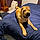 Sofie