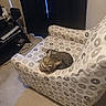 cat, tabby_cat, armchair, furniture, indoor, curtains, carpet, shelf, game_controller, books, cords, living_room, pet, patterned_fabric, home, cozy, curious, resting, animal, domestic_cat