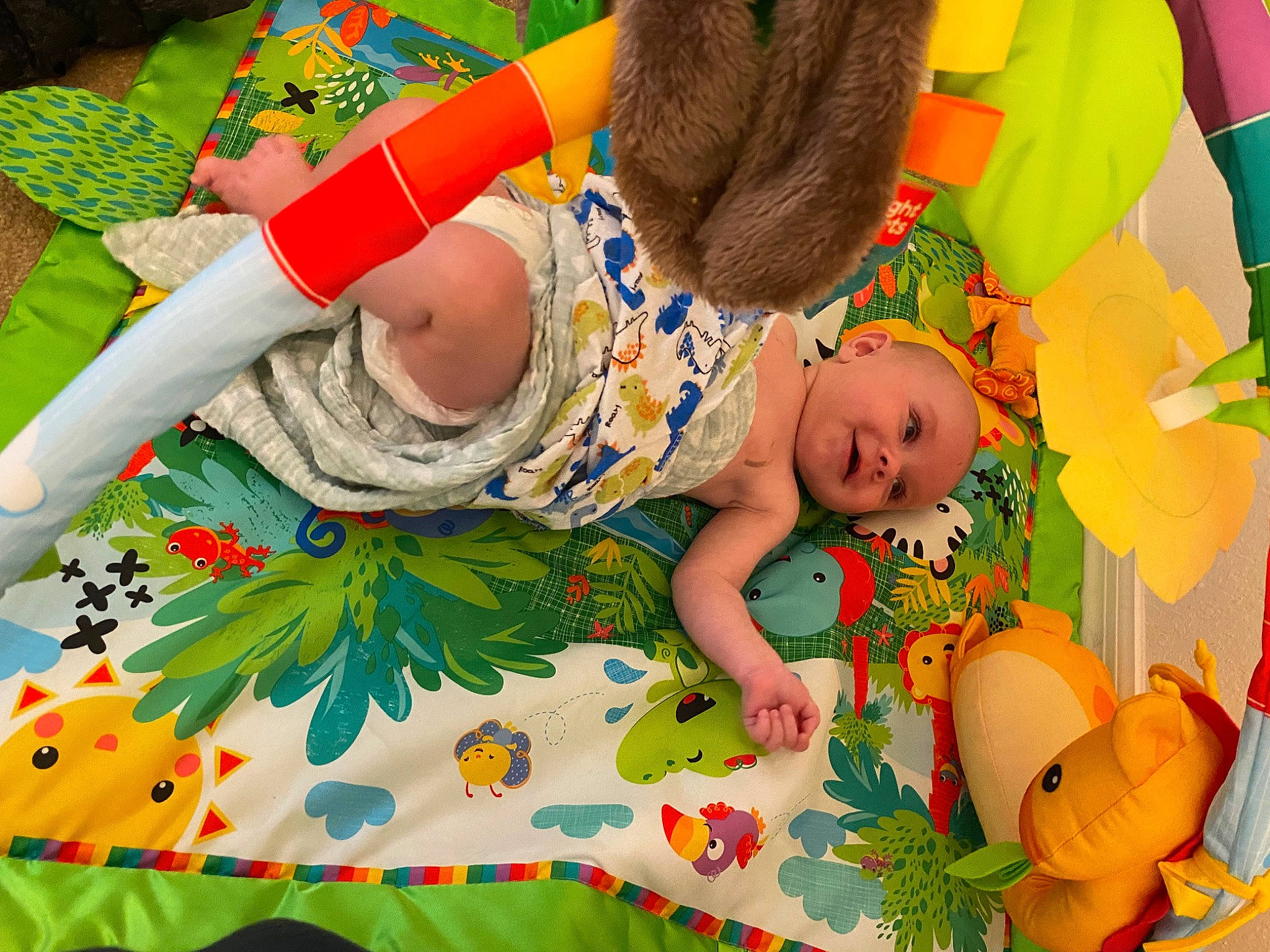 Jameson joined the competition — help win amazing prizes! baby, baby_toddler_clothing, child, event, facial_expression, fun, grass, green, happy, leaf, leisure, orange, pattern, people_in_nature, person, playing_with_kids, red, textile, toddler, toy