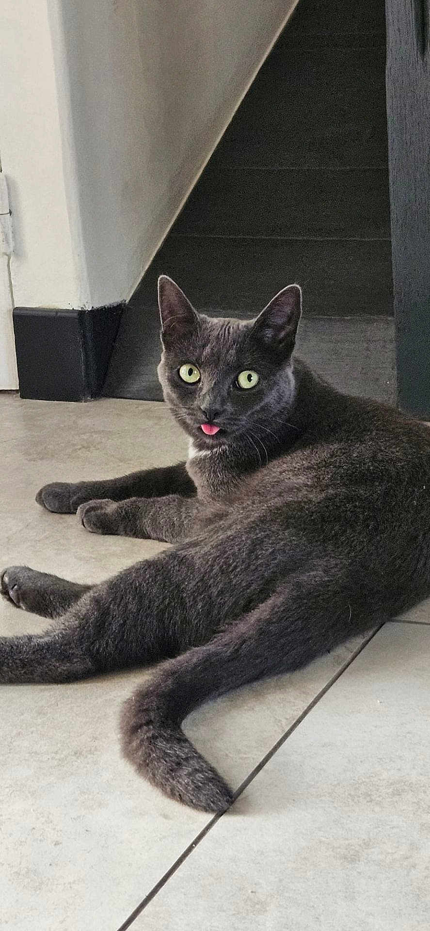 Loky