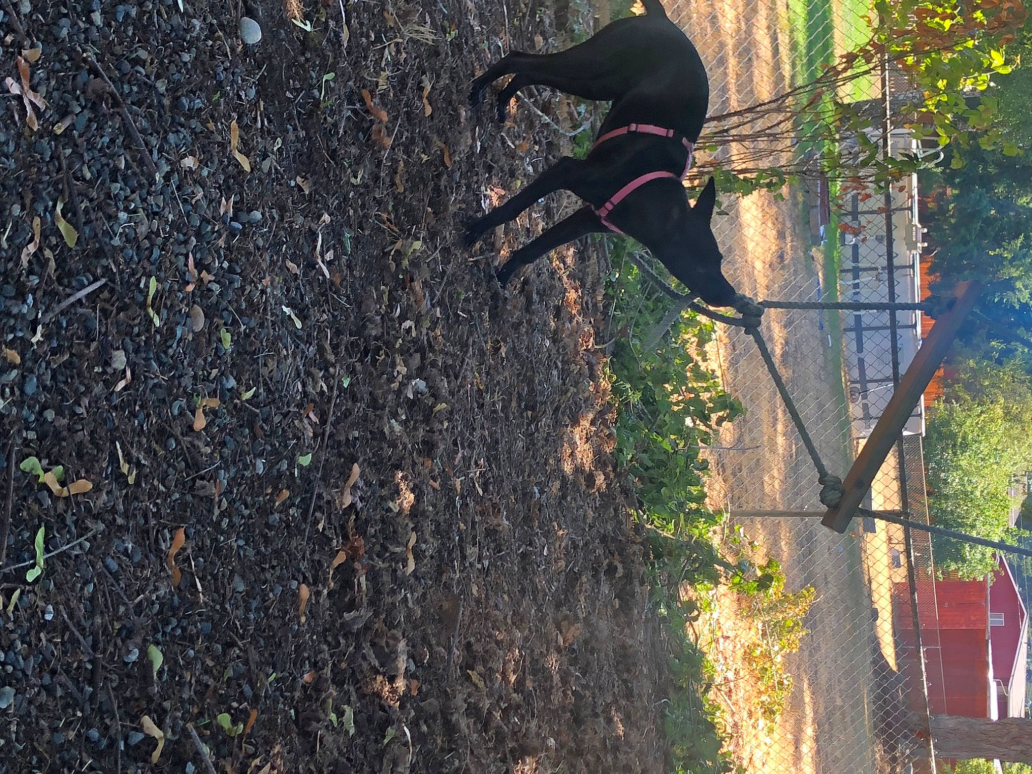 Pirate is registered to the contest to win money with this photo: adventure, asphalt, extreme_sport, grass, landscape, leisure, people_in_nature, plant, public_utility, recreation, road_surface, shadow, soil, sports, tar, tints_and_shades, tire, tree, trunk, twig