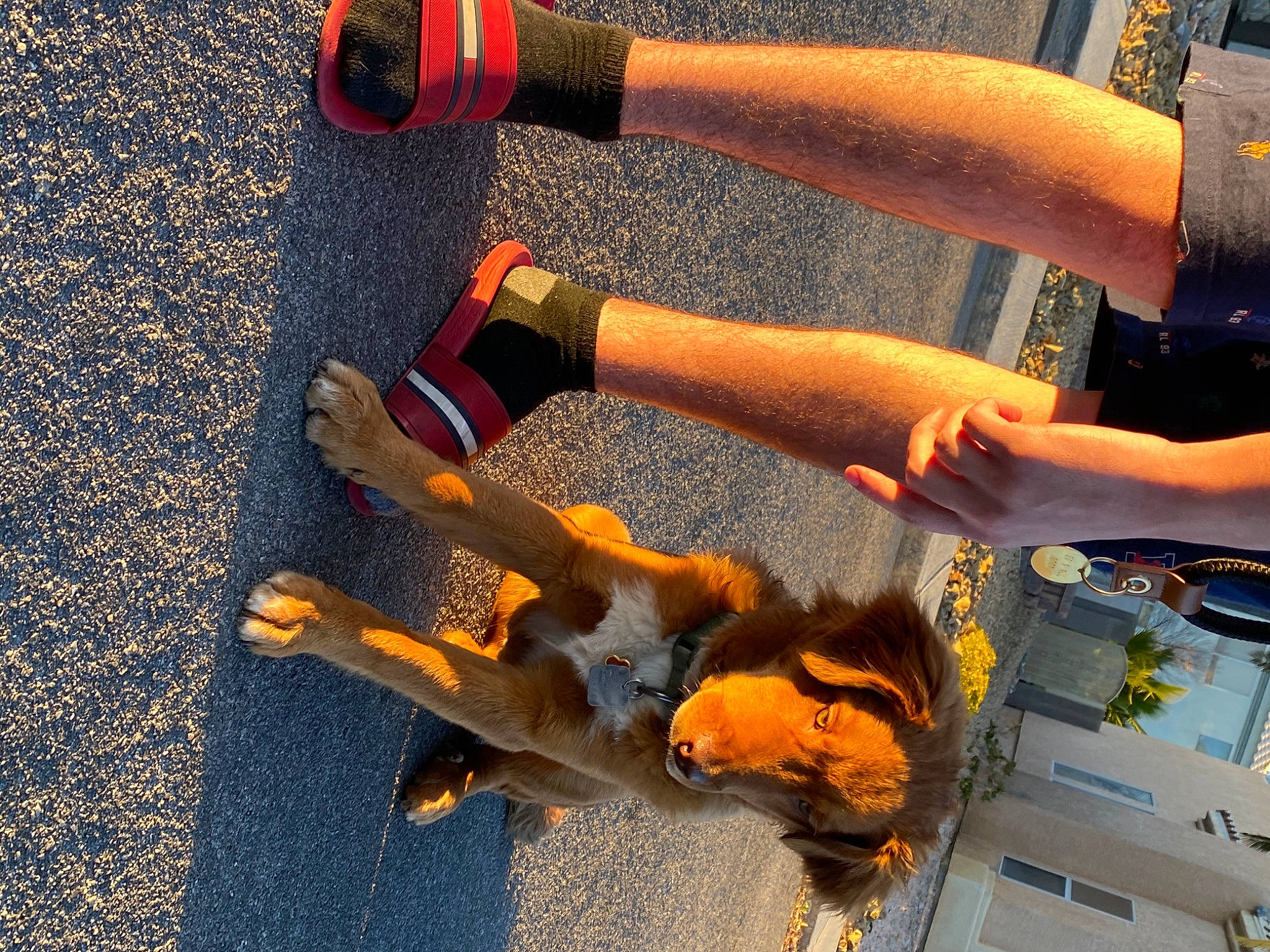 Drako is registered to the contest to win money with this photo: asphalt, calf, carmine, elbow, fashion_accessory, finger, foot, gesture, glove, human_leg, knee, leg, nail, orange, people_in_nature, road_surface, sidewalk, sock, thigh, wrist