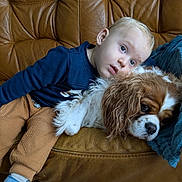 Sibel a rejoint le concours — aidez-le/la à gagner de superbes lots ! toddler, dog, cavalier_king_charles_spaniel, leather_couch, blue_shirt, brown_pants, blue_slippers, indoor, snuggling, pet, child, expression, fur, closeup, resting, comfort, cushion, floor_tiles, cute, affection
