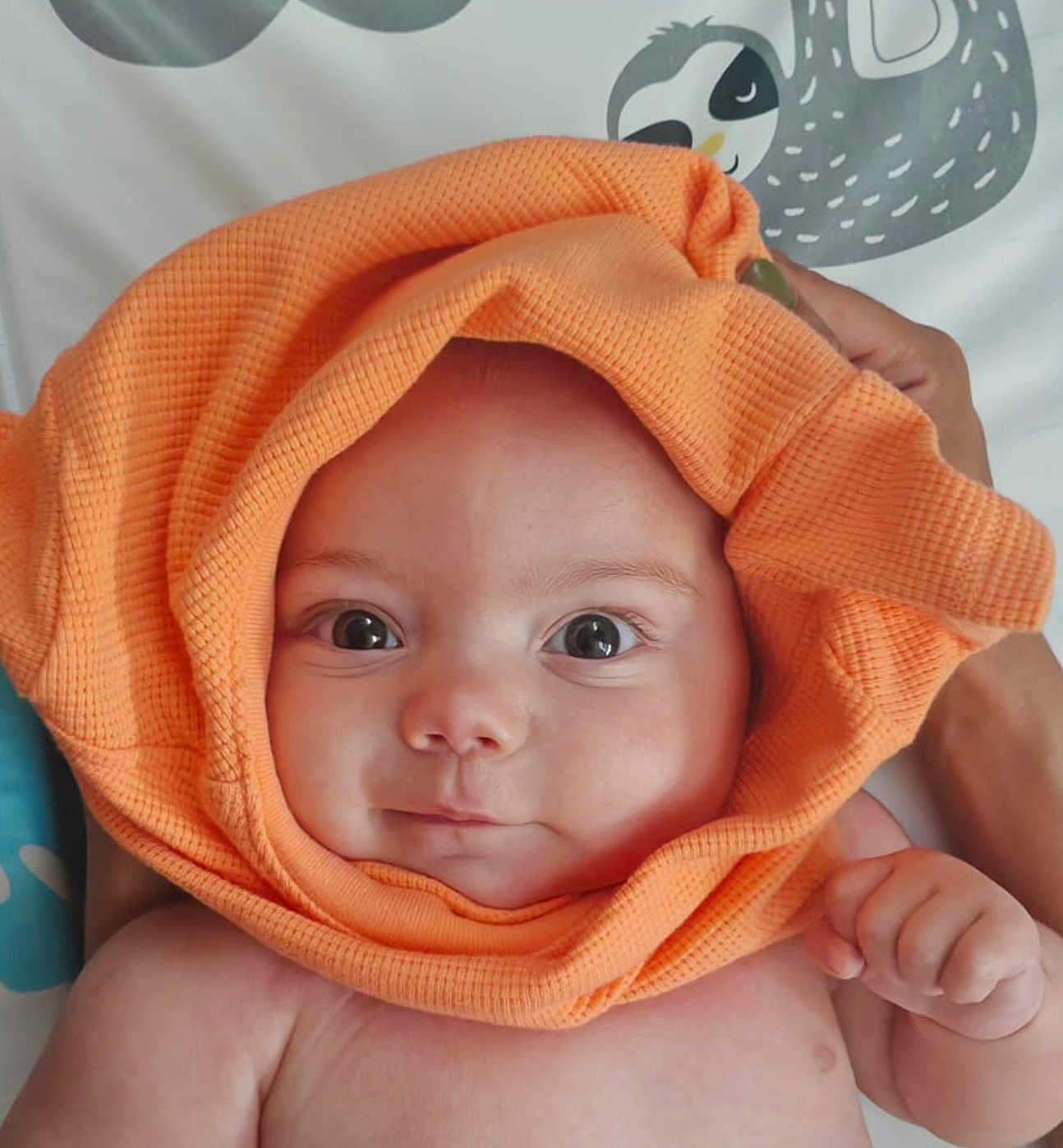 Luca is registered to the contest to win money with this photo: baby, infant, orange_cloth, face, eyes, hand, skin, expression, cute, adorable, hood, fabric, texture, sloth_illustration, background, bed, person, portrait, newborn, child