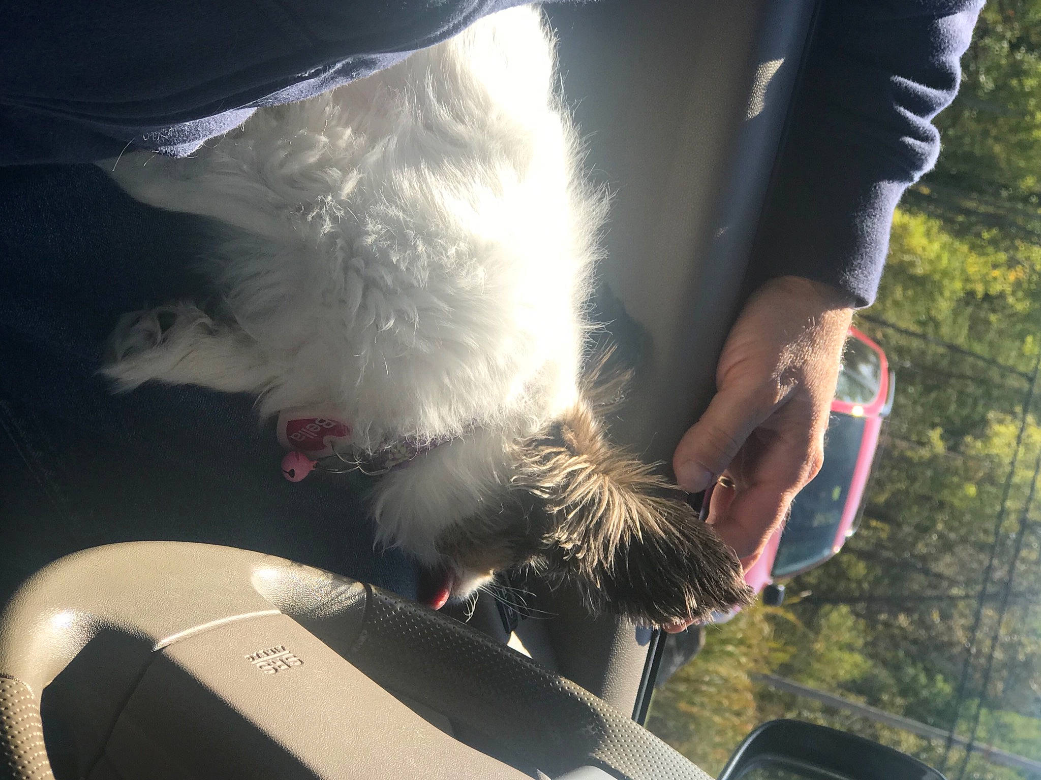 Bella joined the competition — help win amazing prizes! glove