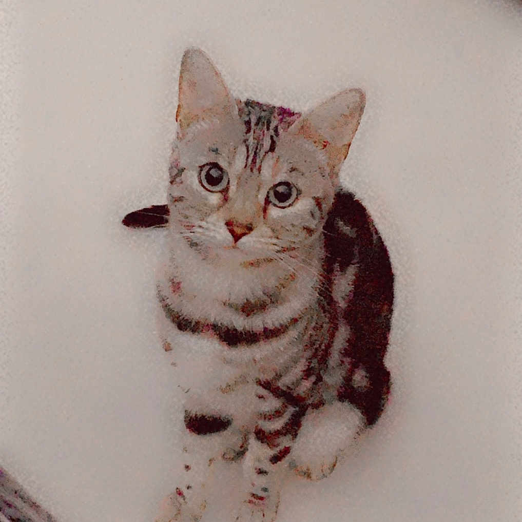 Mimie a rejoint le concours — aidez-le/la à gagner de superbes lots ! abyssinian, angora, animal, applique, art, bathing, bathtub, blanket, cat, egyptiancat, kitten, manx, pattern, person, pet, siamese, tub