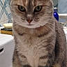 Gipsy participe au concours pour gagner de l'argent avec cette photo :
