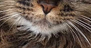Nina participe au concours pour gagner de l'argent avec cette photo :
