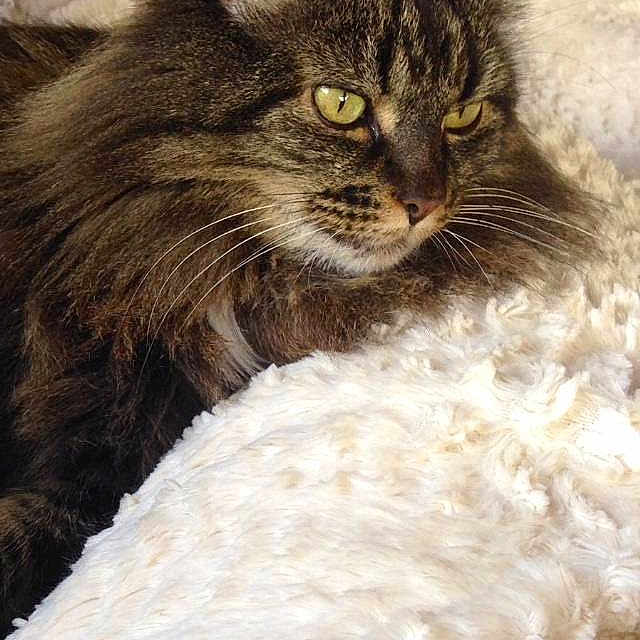 Nina