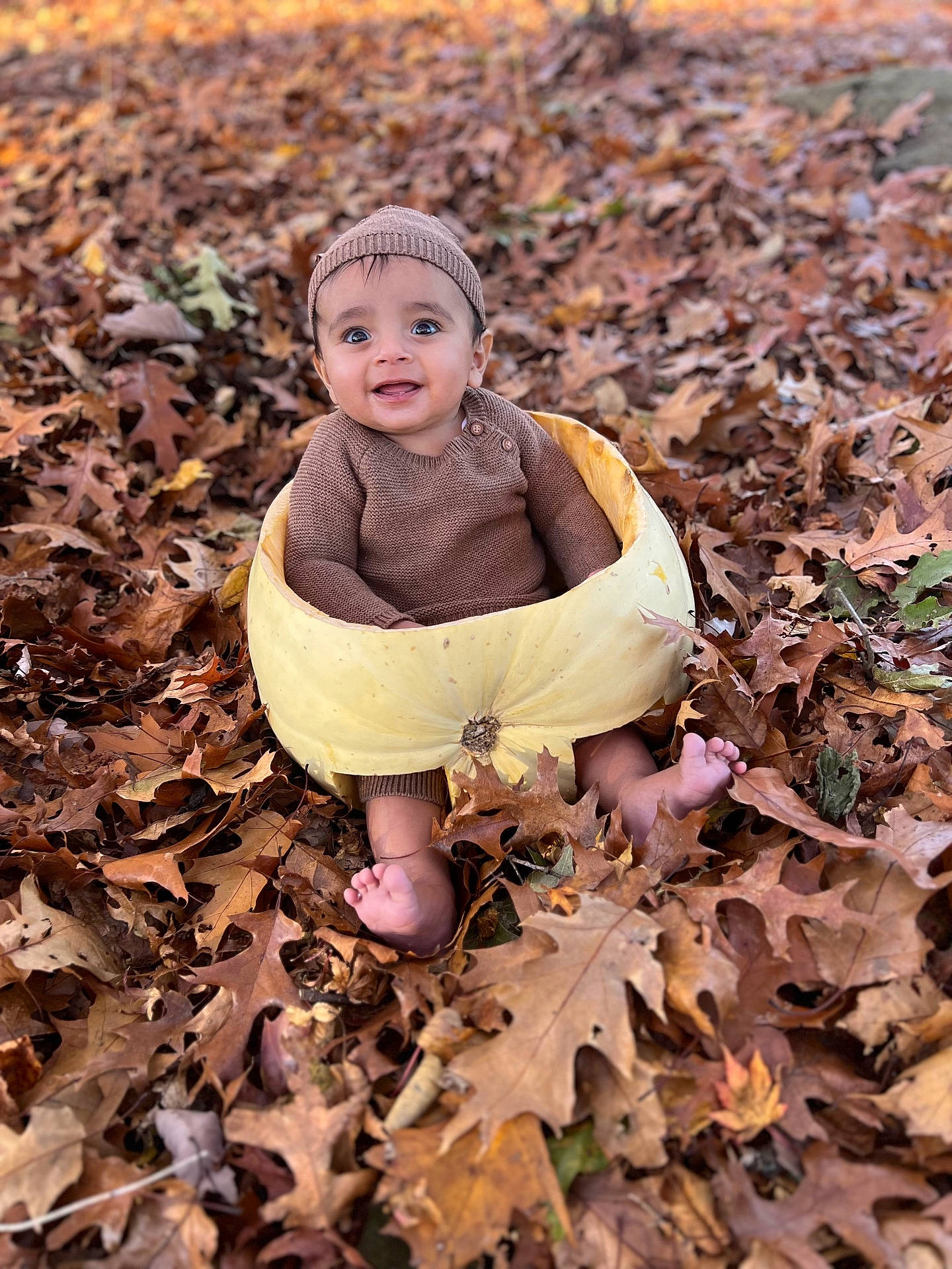 Liam joined the competition — help win amazing prizes! bonnet, boy, cap, child, clothing, crawling, dress, face, happy, hat, head, leaf, male, pants, person, photography, plant, portrait, sitting, tree