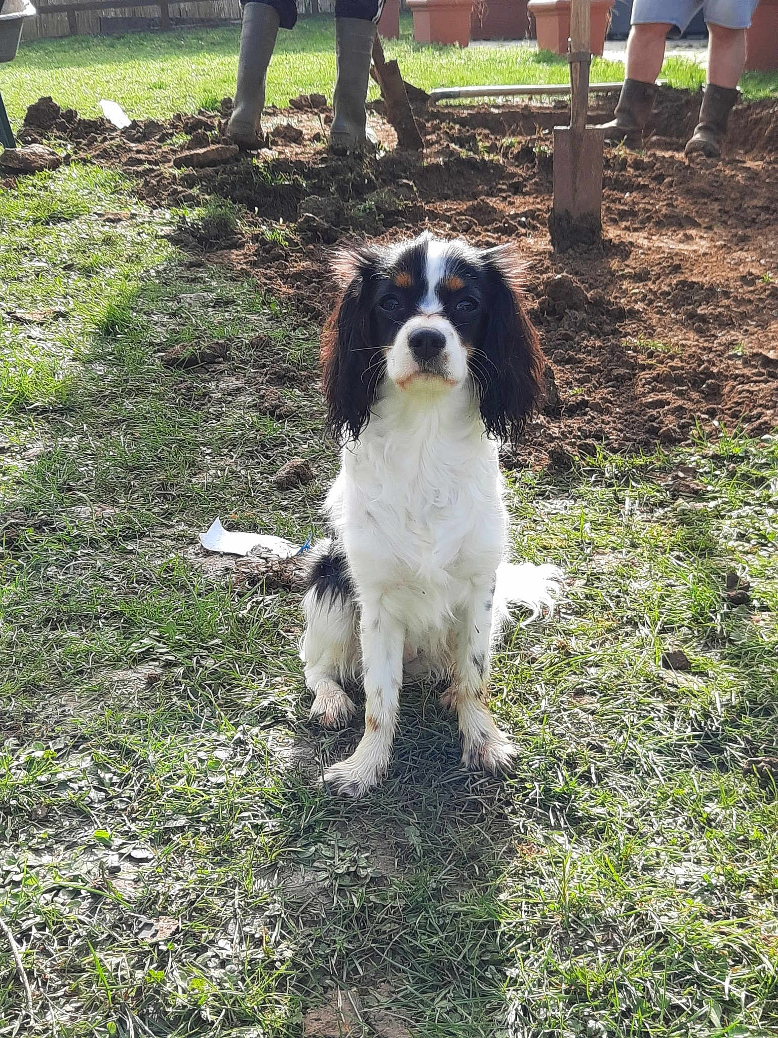 Roxie