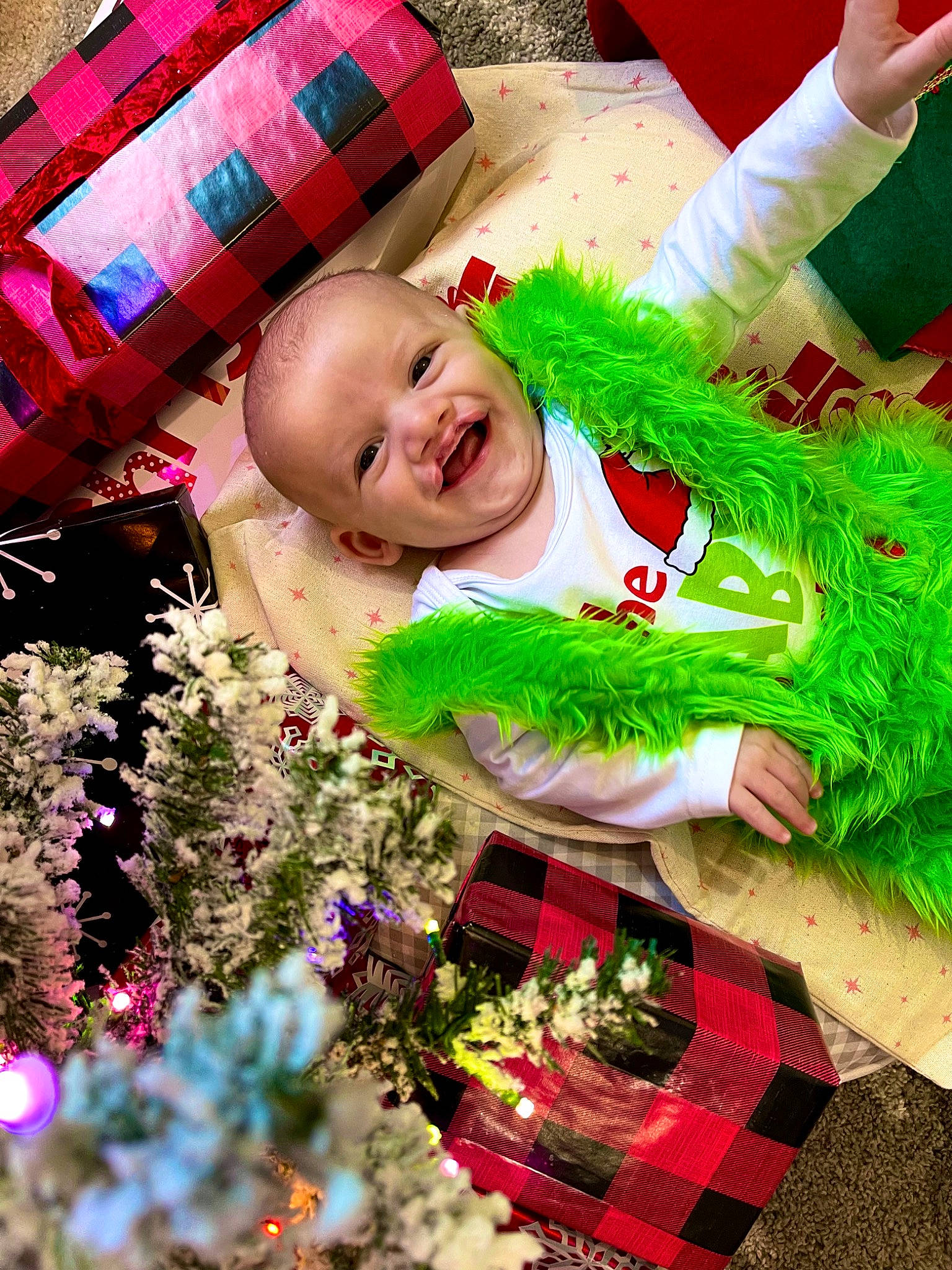 Phillip is registered to the contest to win money with this photo: annual_plant, baby, baby_toddler_clothing, child, design, event, flower, grass, green, happy, holiday, magenta, pattern, people_in_nature, person, petal, plant, red, smile, tartan