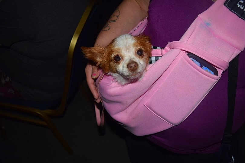 Mimi