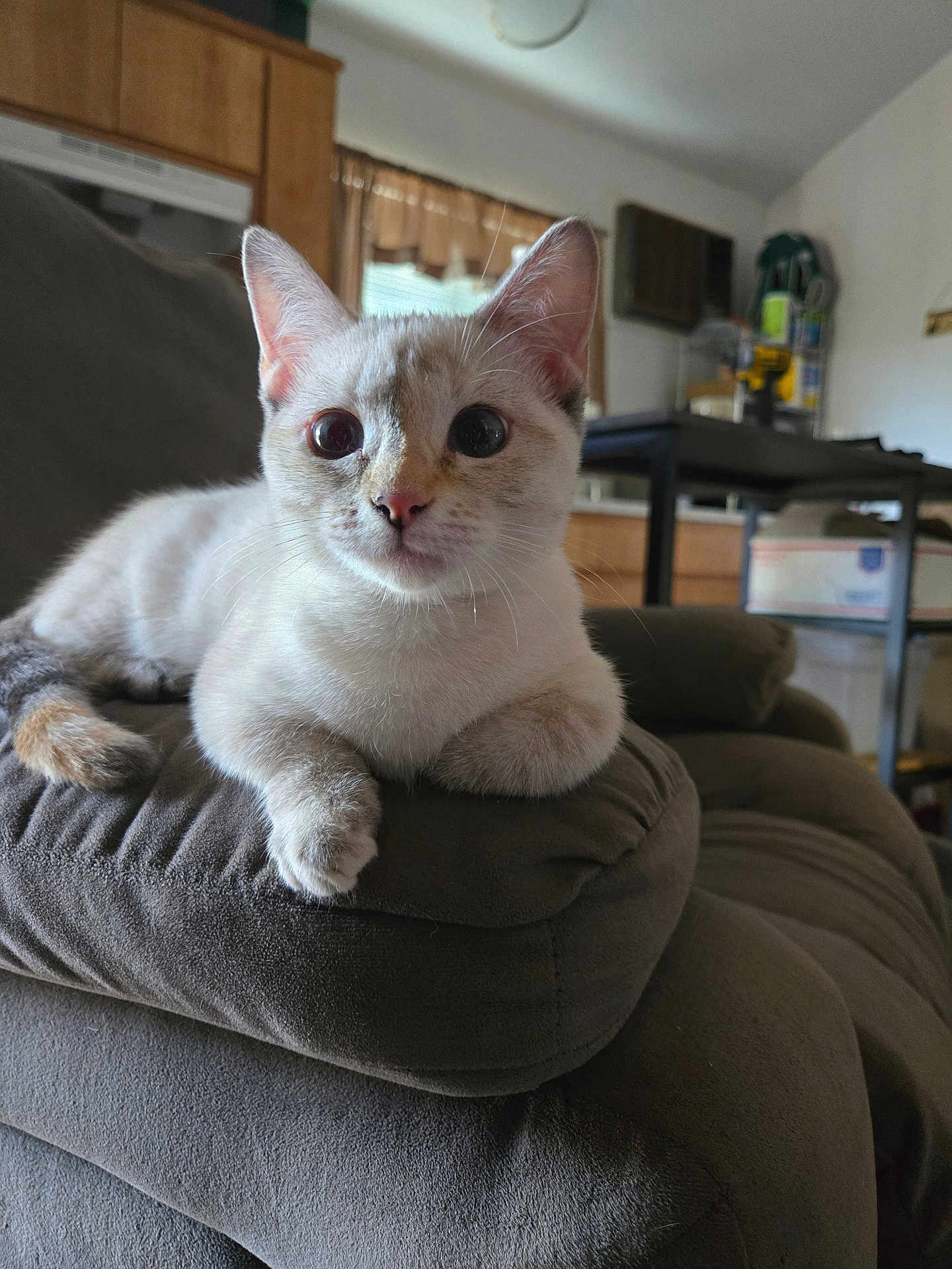 Ruby