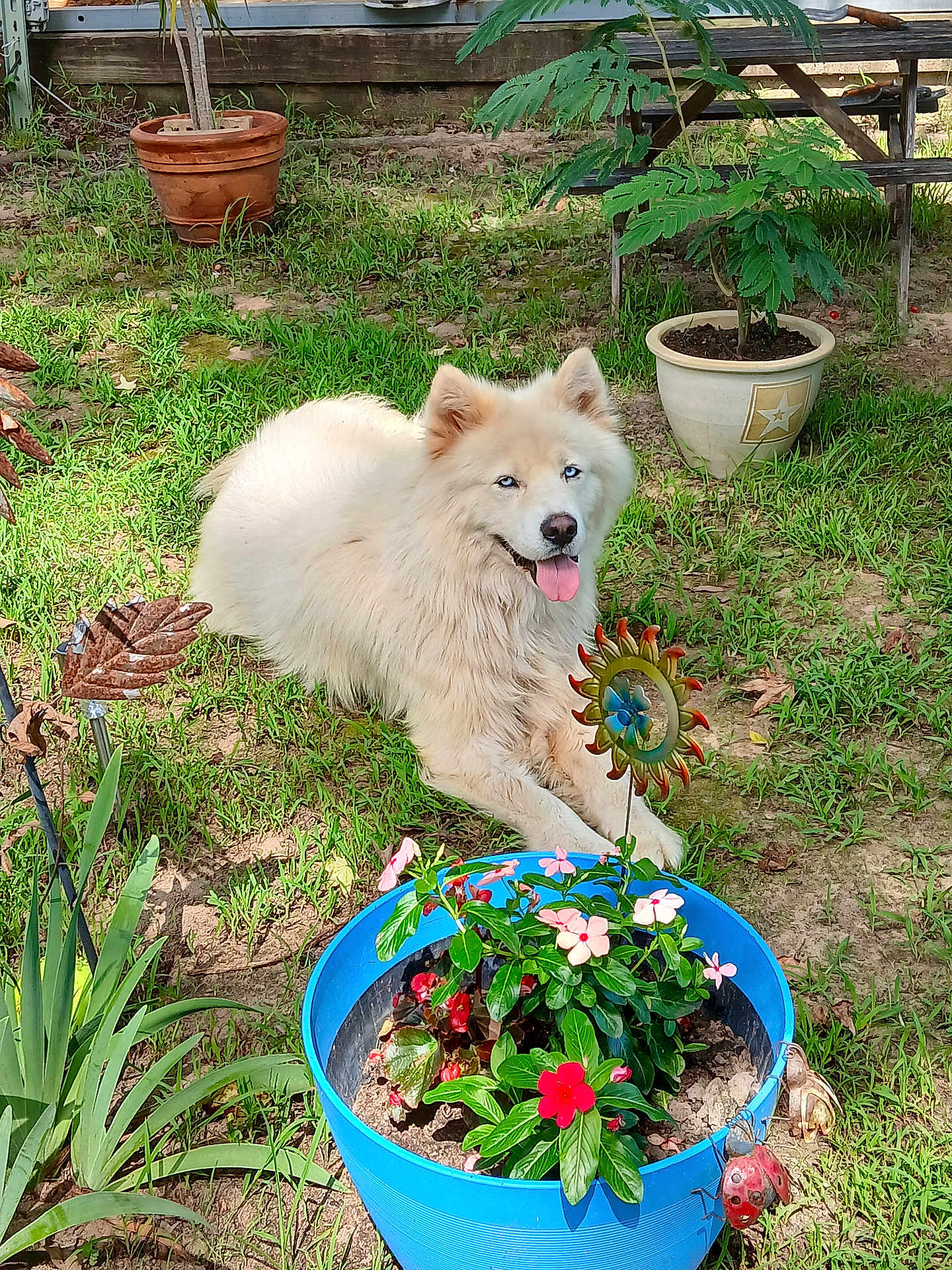Prince