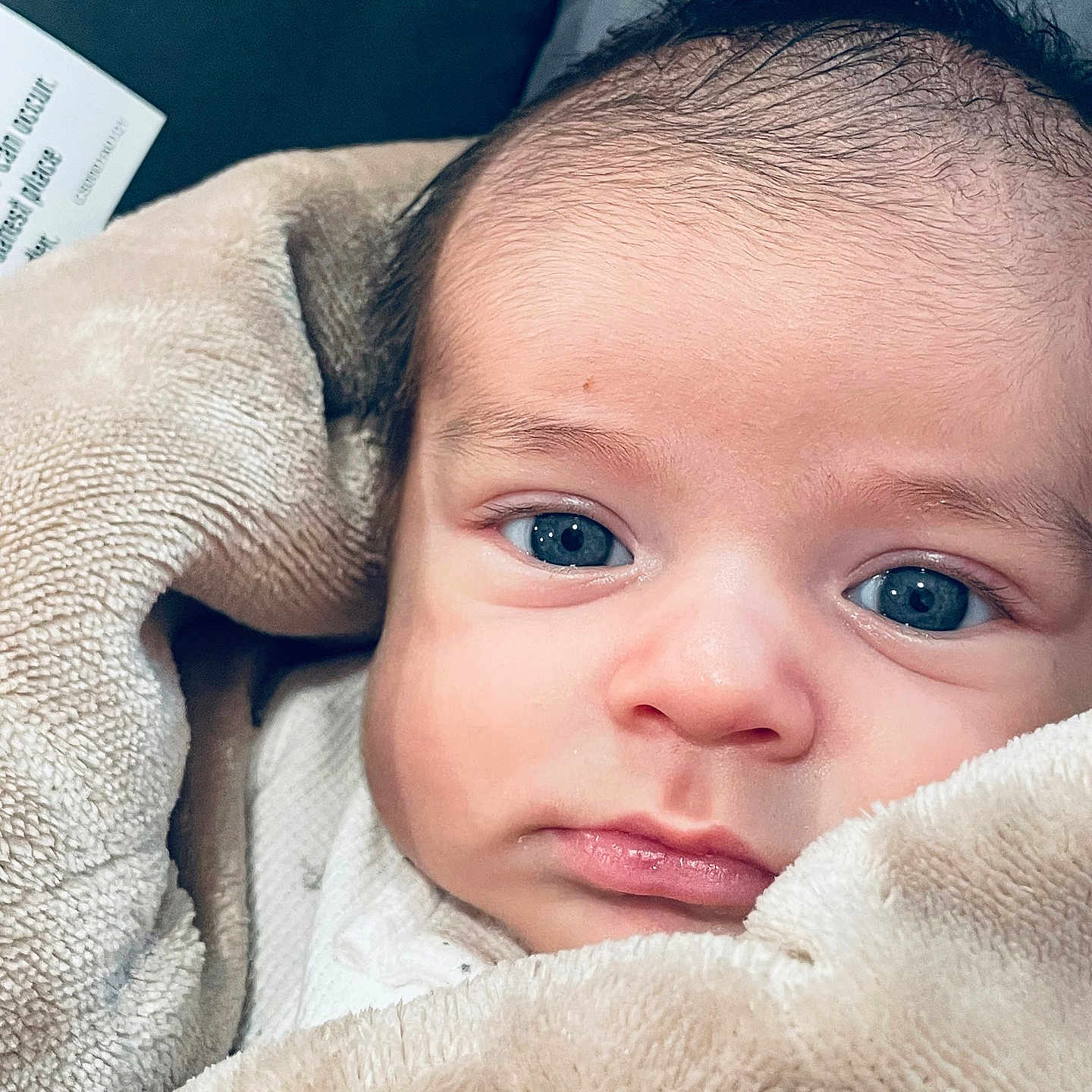 Noe joined the competition — help win amazing prizes! adorable, baby, blanket, blue_eyes, close_up, cute, expression, face, fuzzy, head, indoors, infant, infant_face, looking, newborn, person, portrait, soft_texture, wrapped, young