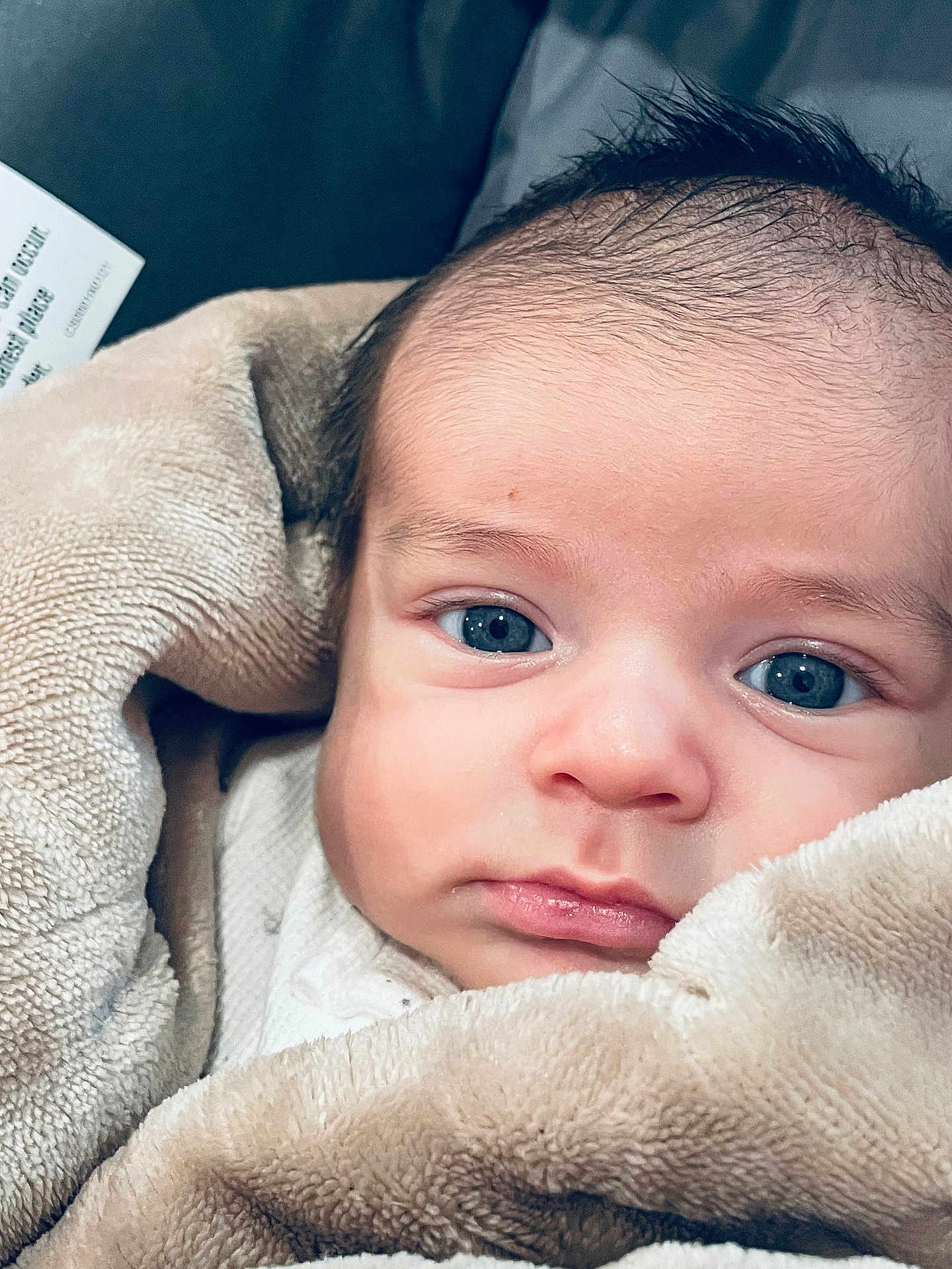 Noe joined the competition — help win amazing prizes! baby, blanket, face, infant, blue_eyes, close_up, cute, expression, fuzzy, head, indoors, infant_face, looking, newborn, person, portrait, soft_texture, wrapped, young, adorable