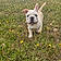 Delboy