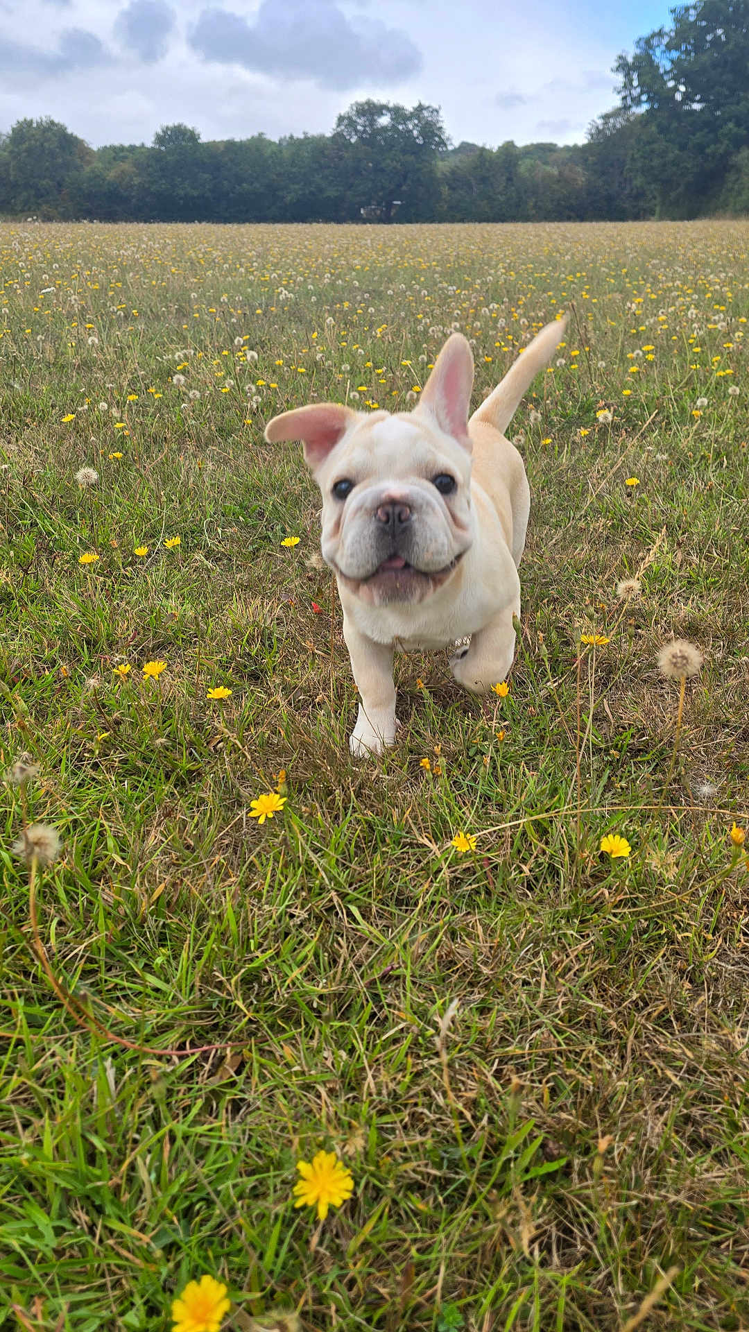 Delboy