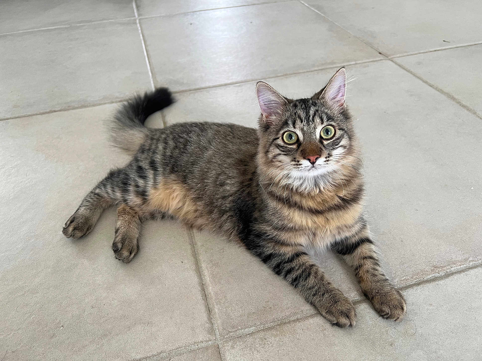 Simba