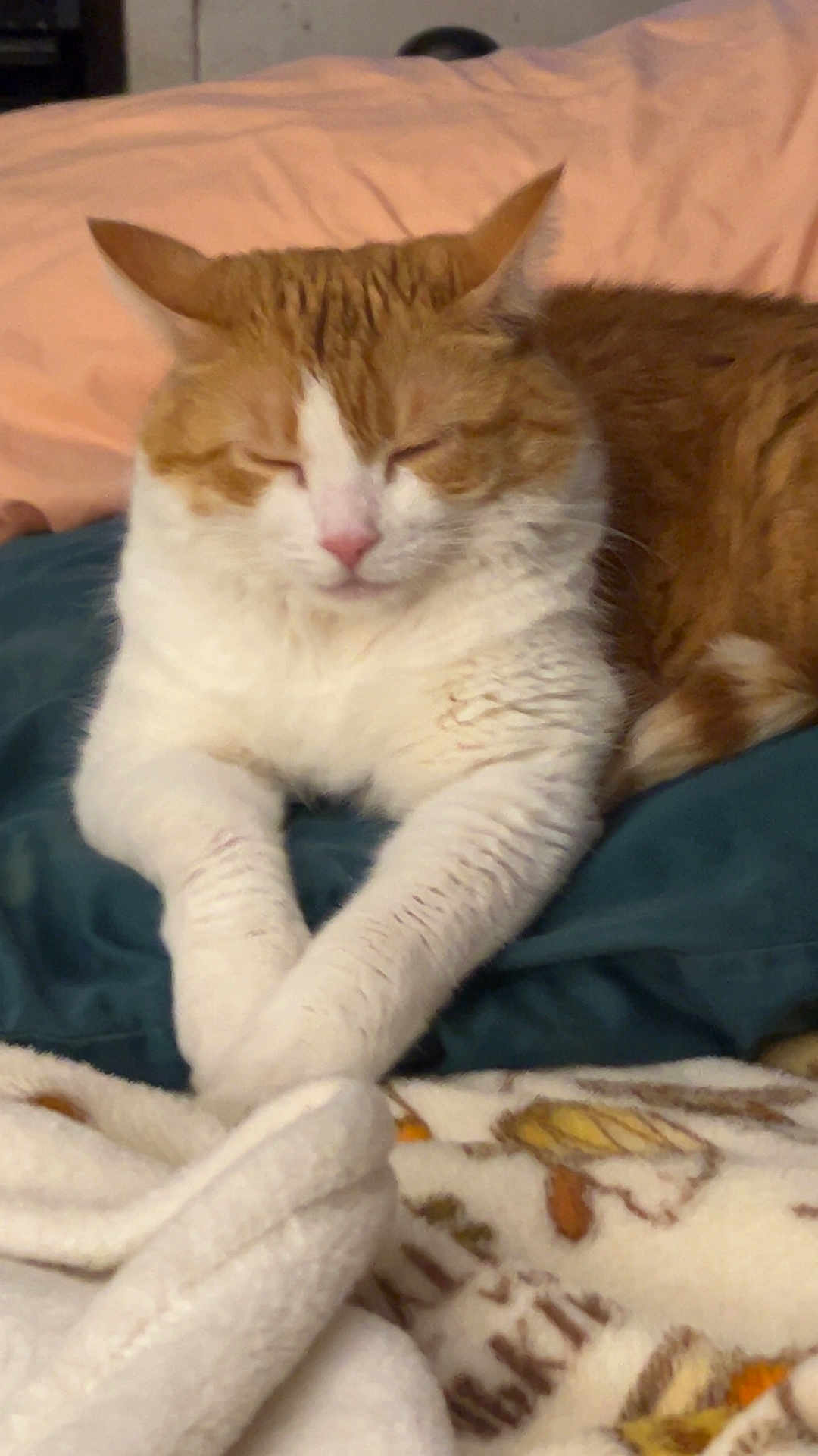 Peaches