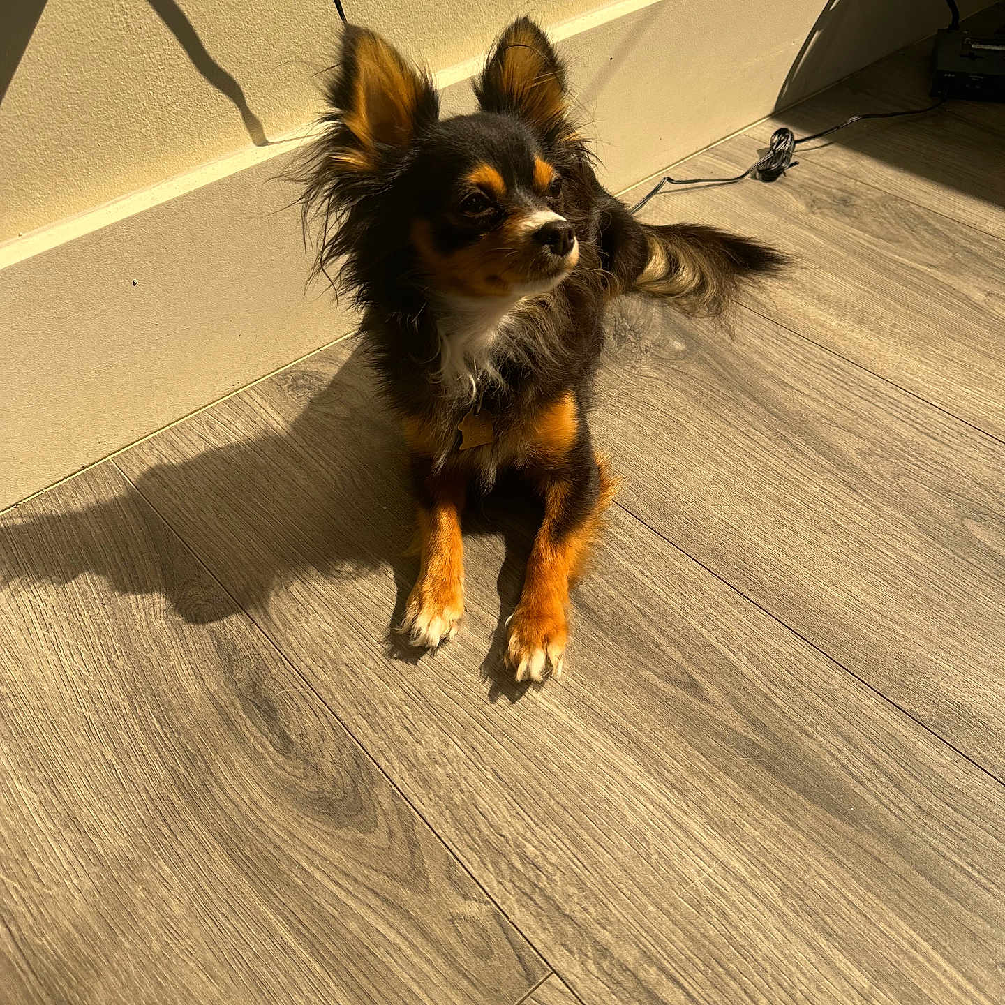 Paco