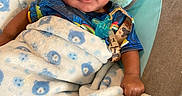 Semaj is registered to the contest to win money with this photo: baby, blanket, blue, cushion, infant, pacifier, pattern, person, portrait, shirt, sleeping_bag, soft_toy, toddler, toy, wearing, wrapped, young_child, indoors, comfort, seated