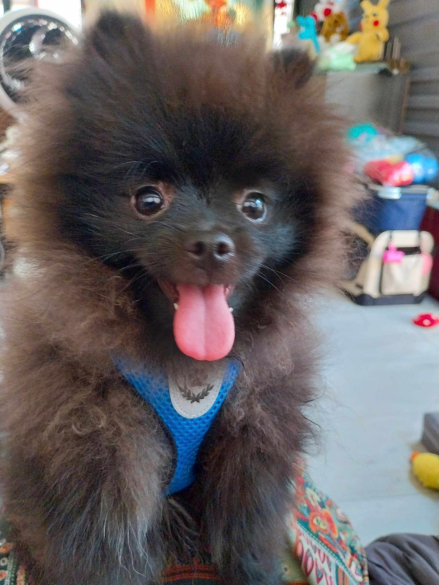 Aiko