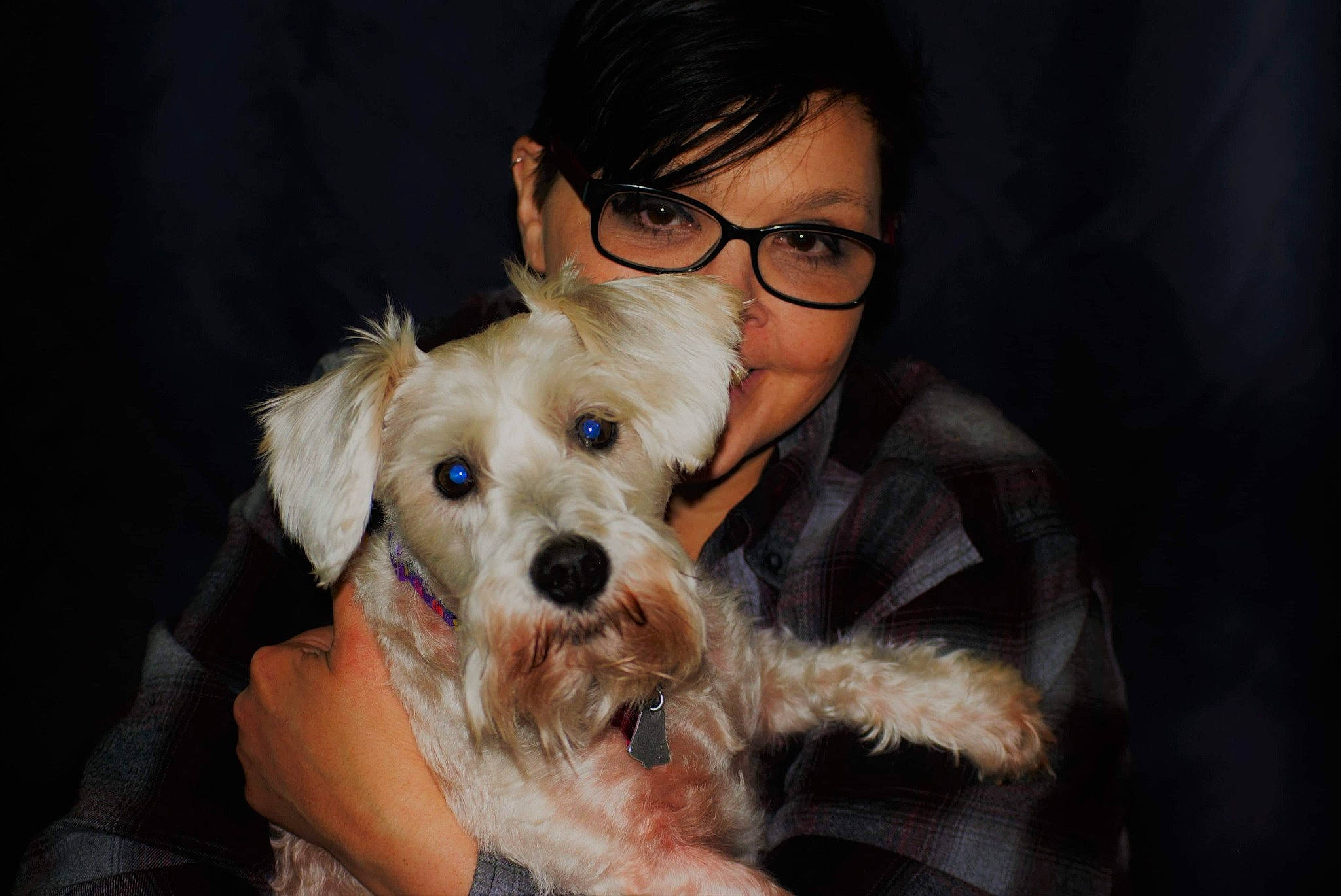 Justice is registered to the contest to win money with this photo: canidae, carnivore, companion_dog, dog, dog_breed, ear, glasses, irish_soft_coated_wheaten_terrier, mammal, miniature_schnauzer, morkie, puppy, puppy_love, rare_breed_dog, schnoodle, snout, sporting_group, sporting_lucas_terrier, vertebrate, west_highland_white_terrier