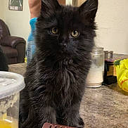 Muddy joined the competition — help win amazing prizes!