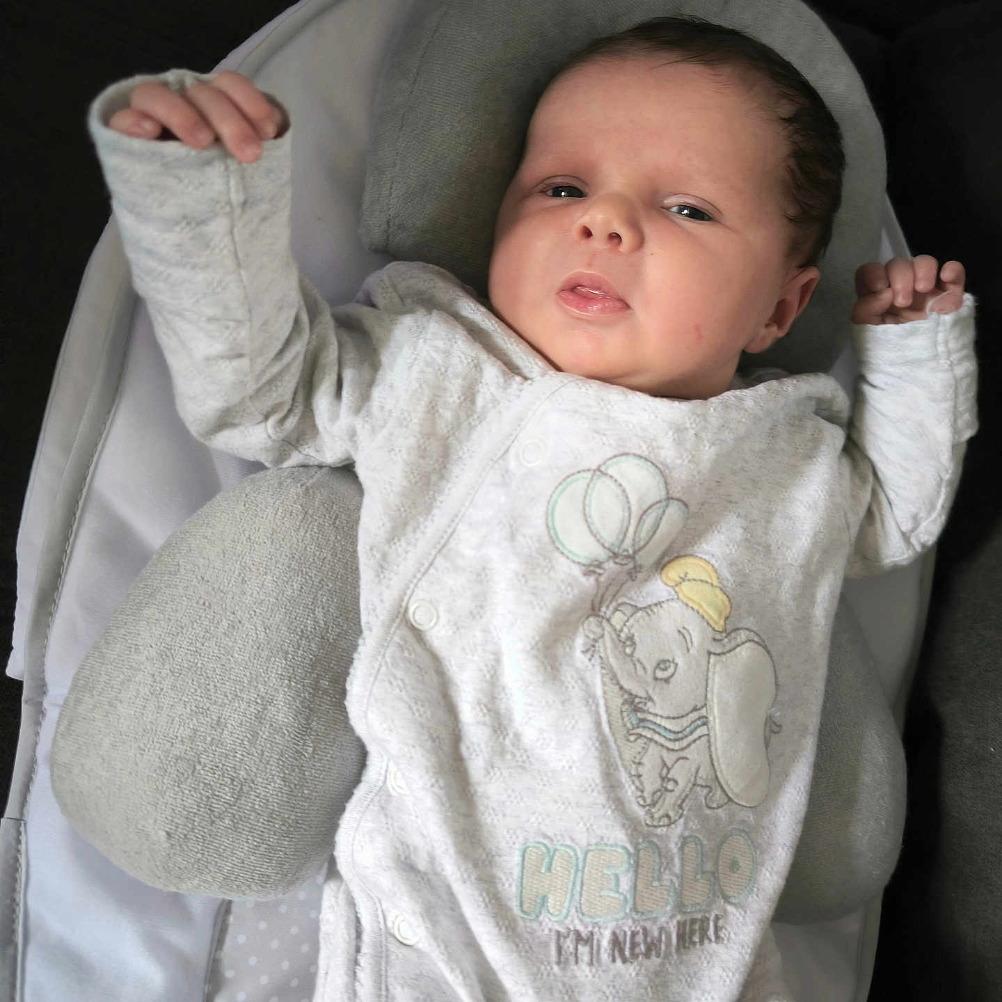 Colyne a rejoint le concours — aidez-le/la à gagner de superbes lots ! baby, balloons, clothing, comfort, cushion, cute, elephant, expression, face, indoors, infant, lying_down, newborn, onesie, person, portrait, raised_arm, seat, soft, white