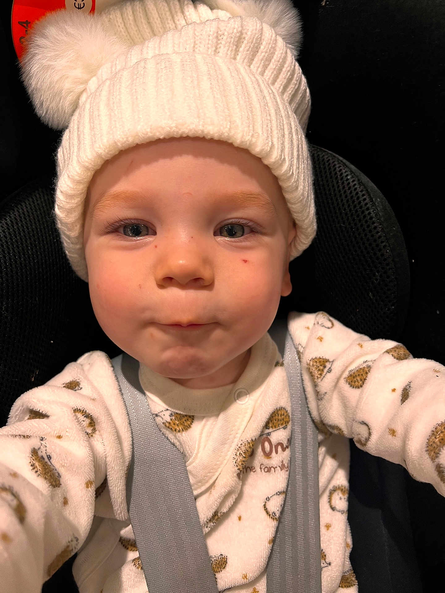 Oscar a rejoint le concours — aidez-le/la à gagner de superbes lots ! toddler, child, baby, hat, knit_hat, pom_poms, onesie, car_seat, seatbelt, cute, face, expression, indoor, warm_clothing, closeup, portrait, infant, childhood, safety, young