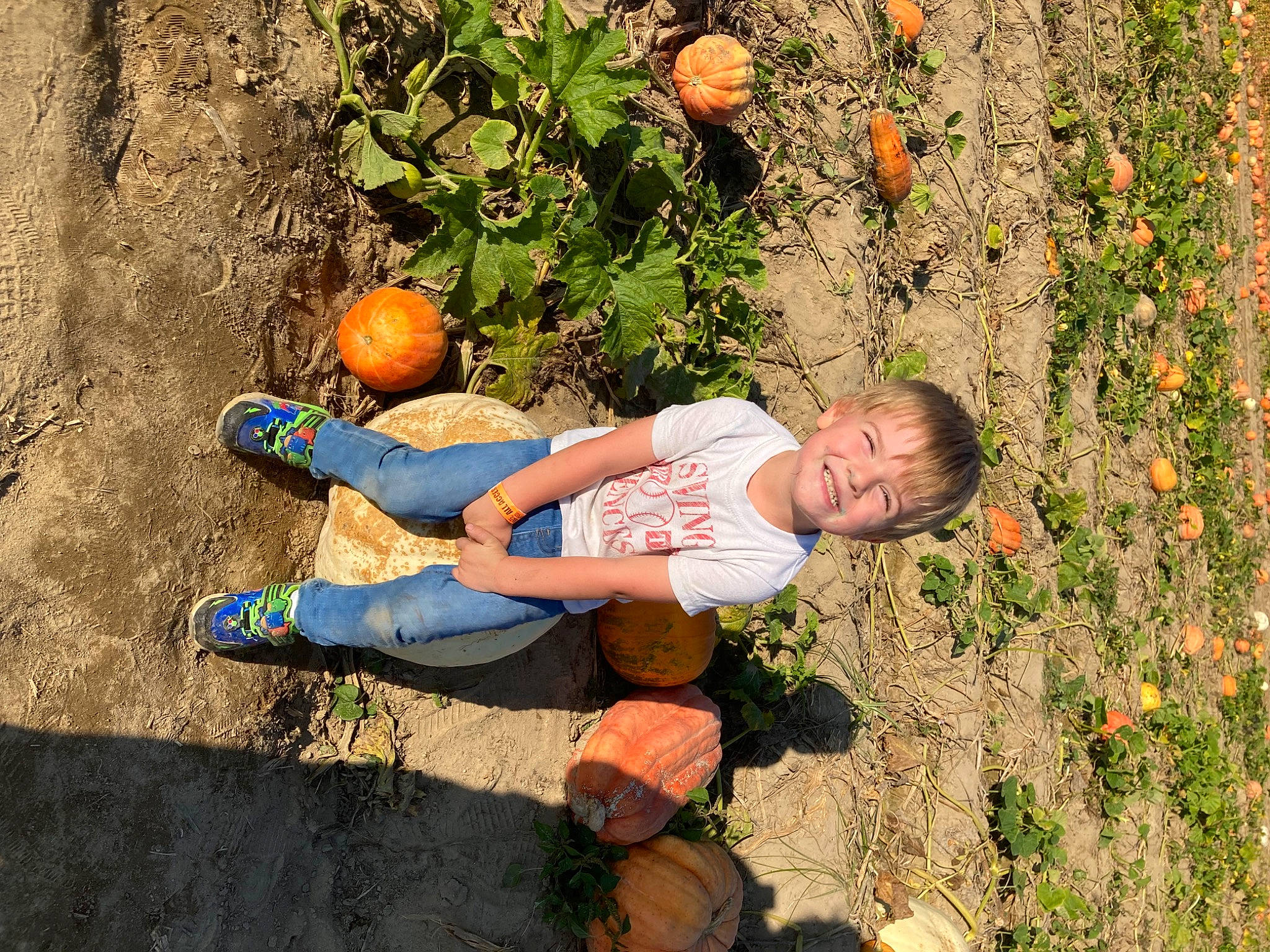 Vincent is registered to the contest to win money with this photo: boot, calabaza, child, cucurbita, fun, gourd, grass, happy, joy, leisure, orange, people_in_nature, person, plant, pumpkin, shoe, sitting, sneakers, soil, squash