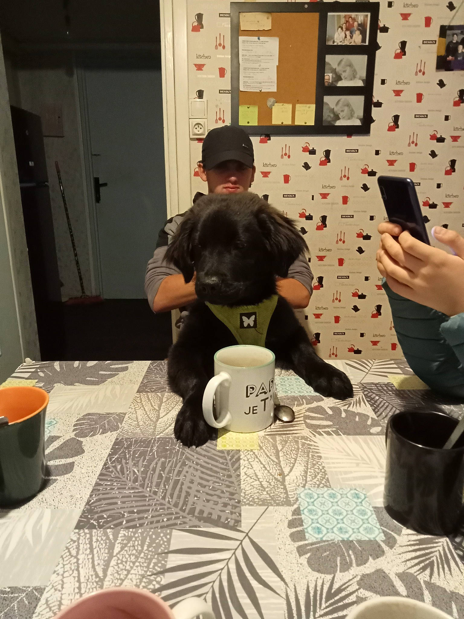 Touny a rejoint le concours — aidez-le/la à gagner de superbes lots ! art, coffee_cup, cup, design, door, drinkware, eyewear, fashion_design, flooring, interior_design, mug, pattern, room, serveware, t_shirt, table, tableware, textile, visual_arts, wood