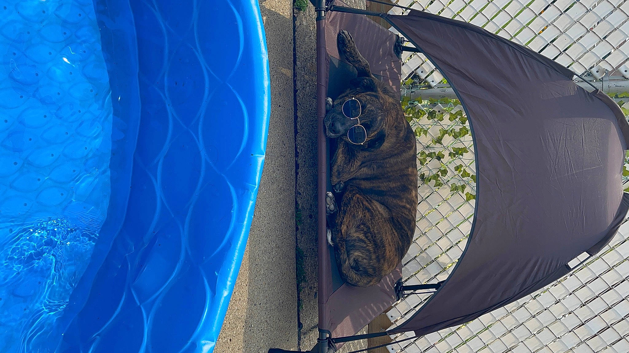 Wrigley is registered to the contest to win money with this photo: art, automotive_wheel_system, azure, circle, daylighting, electric_blue, facade, fashion_accessory, glass, line, metal, net, pattern, reflection, shade, symmetry, tarpaulin, tints_and_shades, visual_arts, world