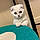 Snowball